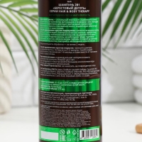 Шампунь 2в1 &laquo;Берестовый деготь&raquo; антипедикулез антиперхоть серии "Hair and Body Therapy", 570 мл