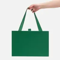 Коробка Regalis, зеленая