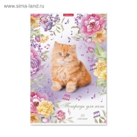 Тетрадь для нот А4, 24 листа, ErichKrause "Мурзики", вертикальная ориентация, обложка мелованный картон, блок офсет 100% белизна, МИКС (1 вид в спайке)