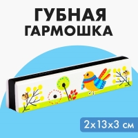Губная гармошка &laquo;Курочка&raquo;, размер 2&times;13&times;3 см, цвет белый