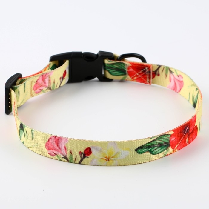 Набор &laquo;Цветы&raquo;, застёжка - фастекс, поводок 2 м и ошейник 28-46 см