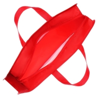 Папка с ручками пластиковая А4 Calligrata "Машина красная", 32,2х25,6х7 см,