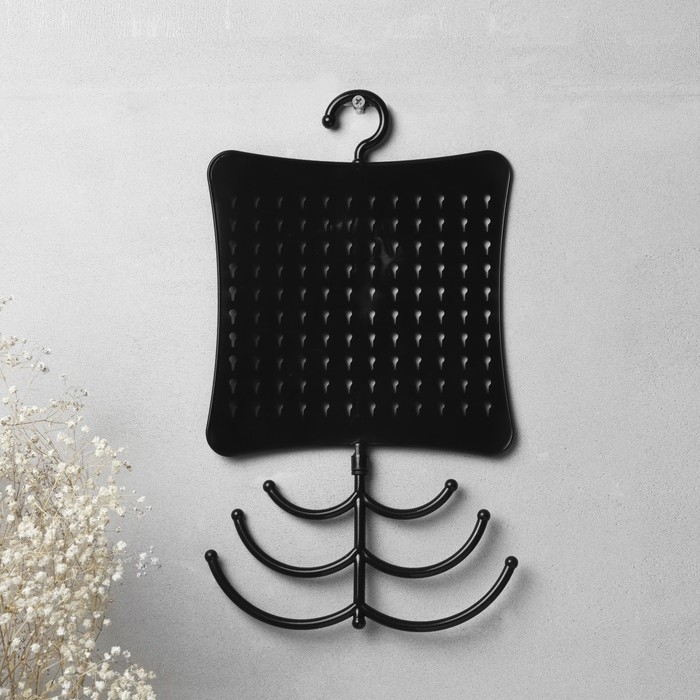 Органайзер для украшений с крючком, 60 пар, 6 крючков, пластик, 20×0,5×35 см, цвет чёрный Органайзер для украшений с крючком, 60 пар, 6 крючков, пластик, 20×0,5×35 см, цвет чёрный
