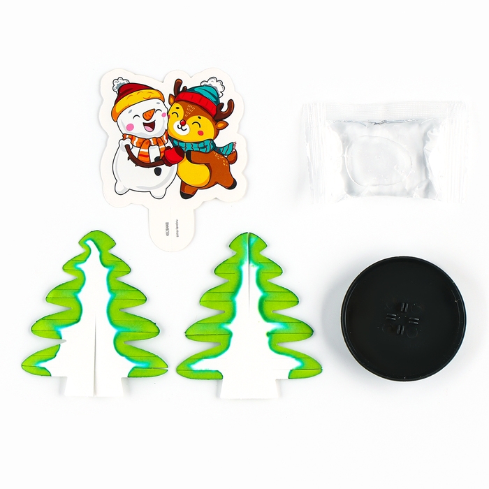 Набор для опытов «Новогодние кристаллы: Ёлочка», сделай сам Набор для опытов «Новогодние кристаллы: Ёлочка», сделай сам