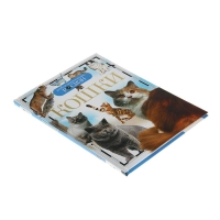 Детская энциклопедия «Кошки» Детская энциклопедия «Кошки»