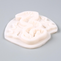 Форма силиконовая универсальная &laquo;Большой дракон&raquo;, 15,2 &times; 5,2 &times; 1,5 см