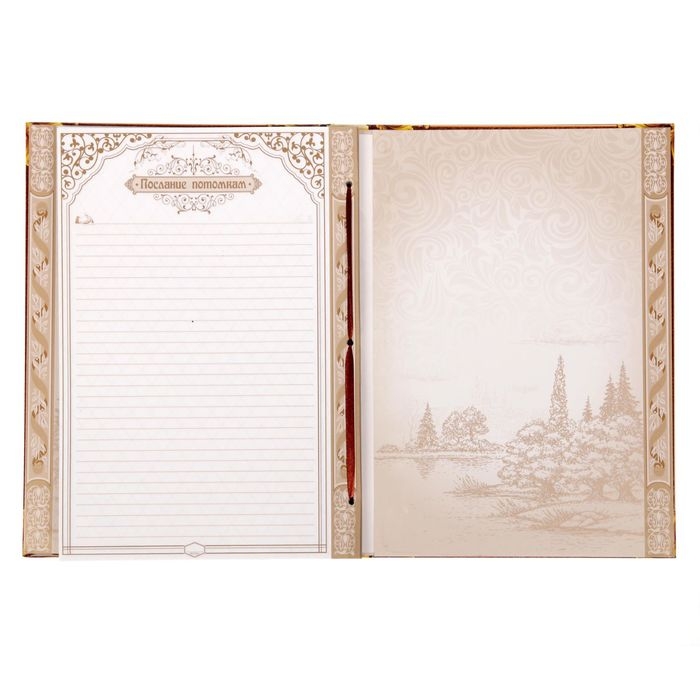 Родословная книга &laquo;Дерево&raquo;, 100 страниц, 22 х 31 см.