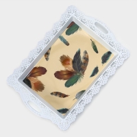 Поднос пластиковый прямоугольный &laquo;Ажурная кайма&raquo;, 35&times;24&times;2 см, цвет МИКС