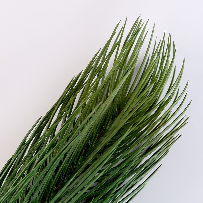 Новый год! Литая веточка, зелёная, набор 1 шт.