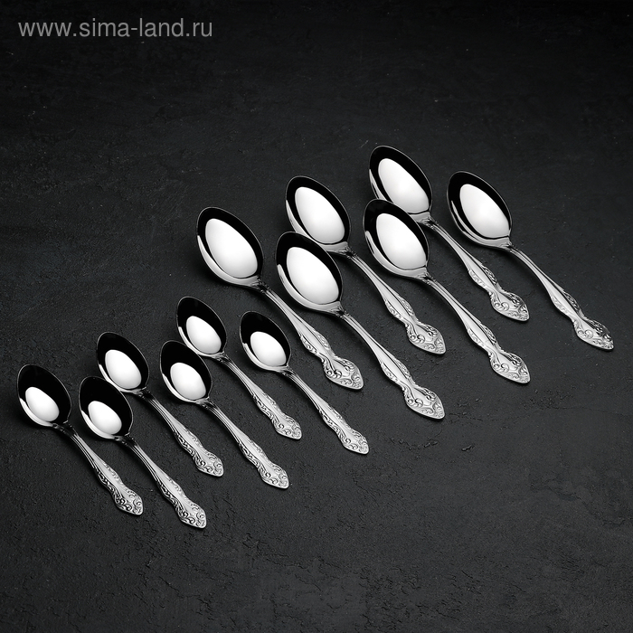 Набор столовых приборов &laquo;Славянка&raquo;, 24 предмета, декоративная коробка, цвет серебряный