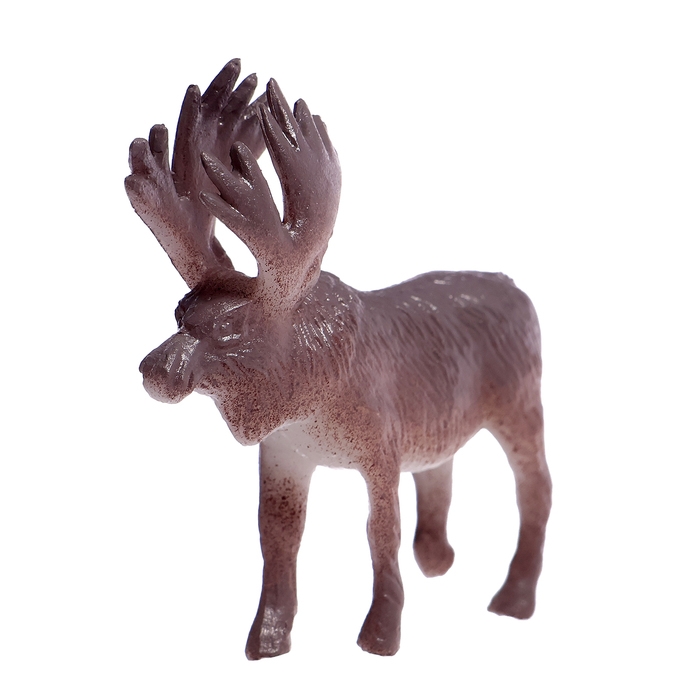 Набор фигурок животных &laquo;Удивительный мир&raquo;, 12 предметов