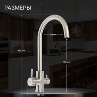 Смеситель для кухни ZEIN ZS 20101, с выходом для питьевой воды, нержавеющая сталь, сатин Смеситель для кухни ZEIN ZS 20101, с выходом для питьевой воды, нержавеющая сталь, сатин