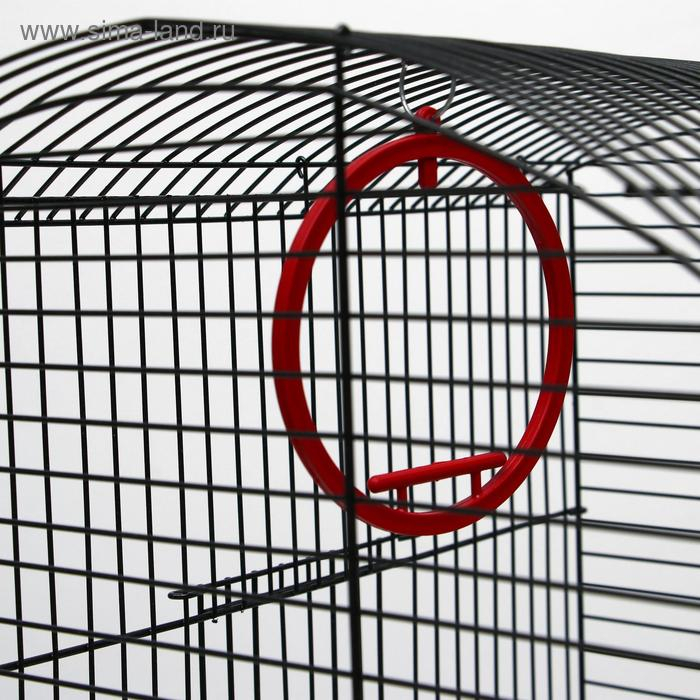 Клетка для попугая "Фиона", 4 яруса, 48 х 38 х 65 см, микс цветов