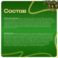 Новогодний подарочный набор косметики &laquo;Мастерская Деда Мороза&raquo; для душа и ванны, красная серия