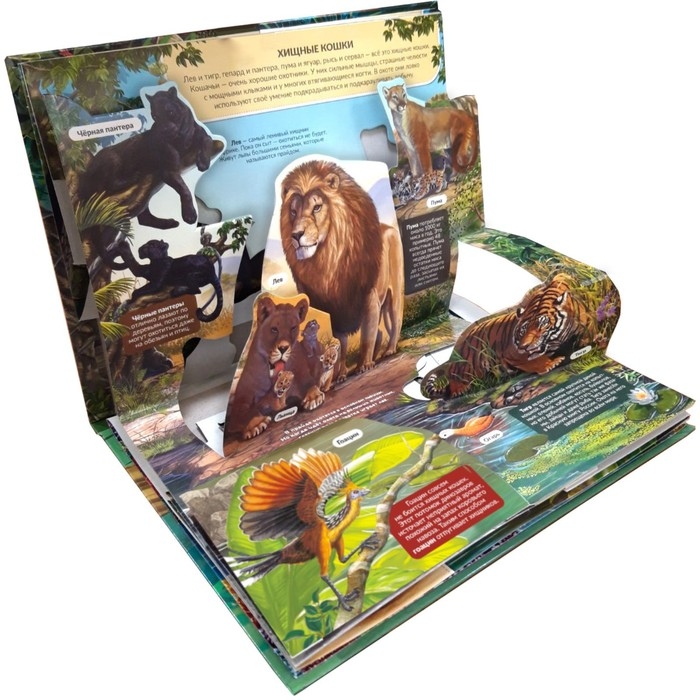 Энциклопедия &laquo;Хищники&raquo; книжка-панорамка, POP UP