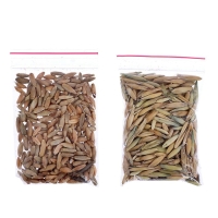 Набор для опытов &laquo;Твоя экоферма&raquo;