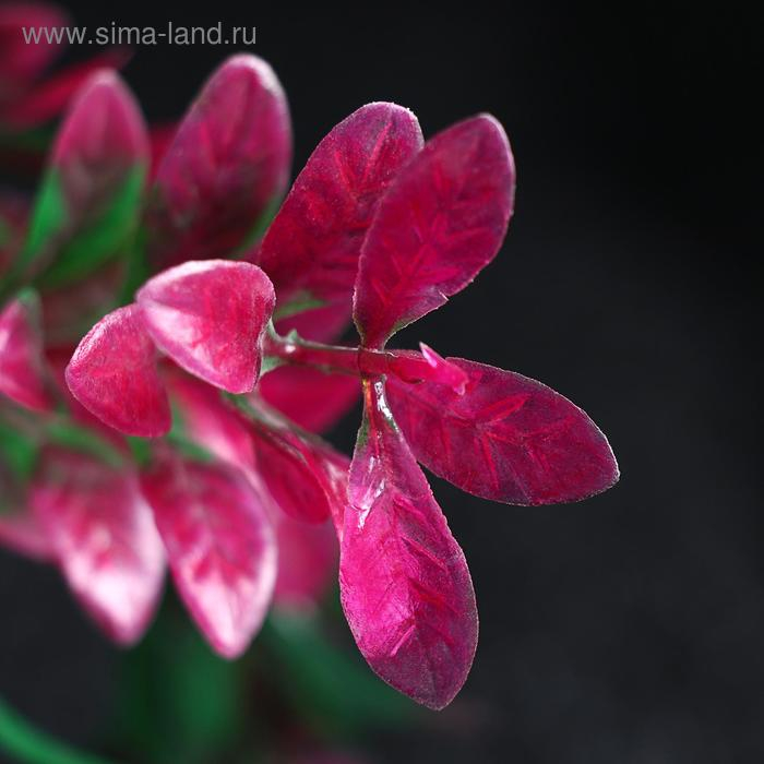 Растение искусственное Растение искусственное