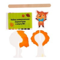 Набор для опытов «Осенние опыты», 8 опытов, в пакете Набор для опытов «Осенние опыты», 8 опытов, в пакете