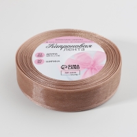 Лента капроновая, 20 мм, 20 &plusmn; 1 м, цвет бежевый №160