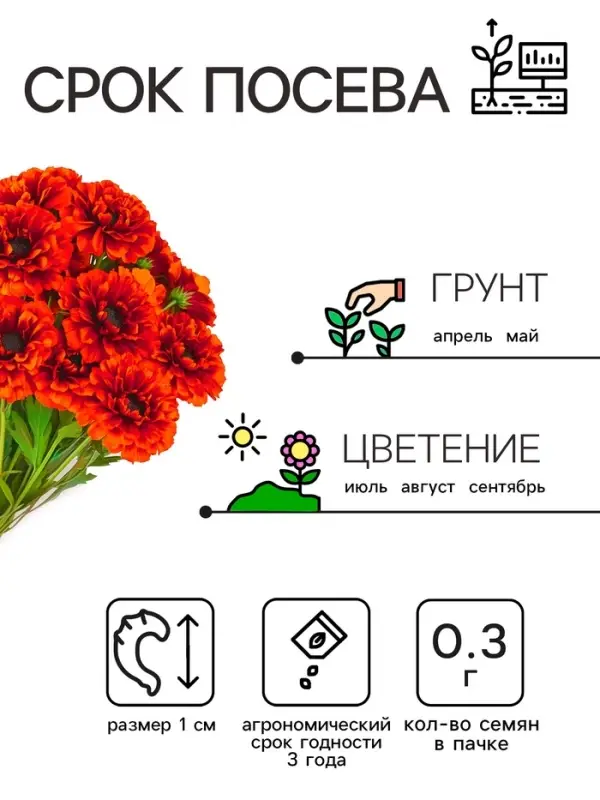 Семена цветов Календула махровая "Ред виз блэк центр", 0,3 г