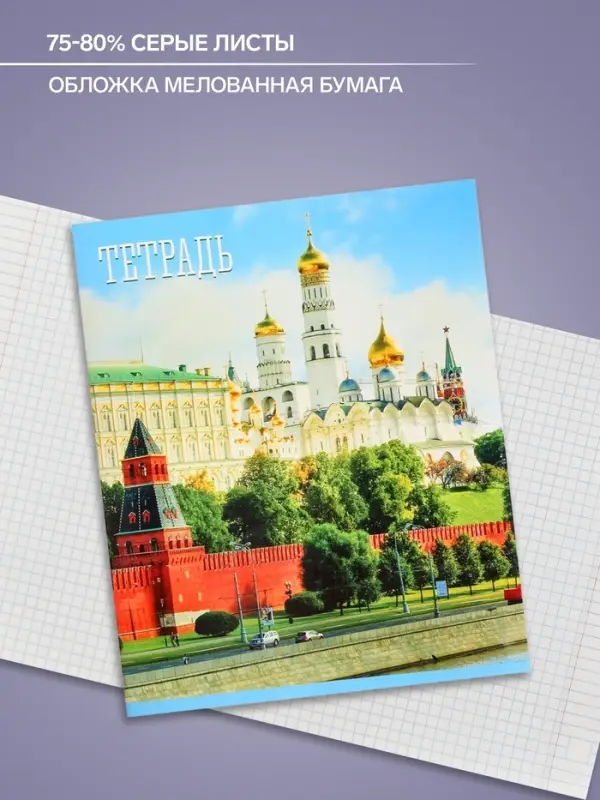 Тетрадь 48 листов в клетку Calligrata &laquo;Россия&raquo;, серые листы, МИКС