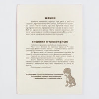 Настольные игры 2 в 1 "Диношашки": шашки, хищники и травоядные, d-2.2 см, 31.2 х 31.2 см