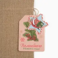 Мешок подарочный &laquo;Волшебного Нового года&raquo;, 20 &times; 30 см