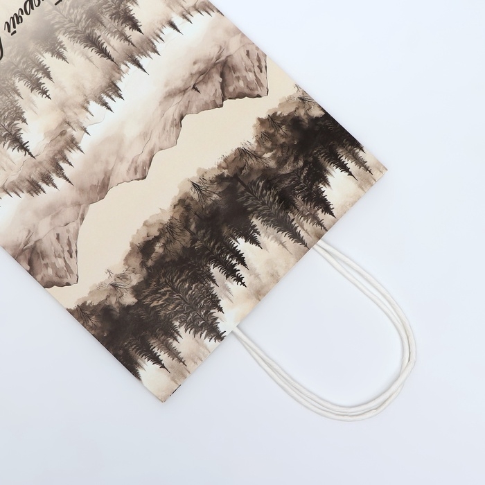 Пакет подарочный крафтовый "Покоряй вершины" 27 х 22 х 11 см, 120 г/м&sup2;