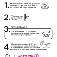 Семена комнатных цветов Мимоза "Кампина", ц/п,  0,1 г