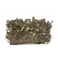 Чай подарочный зеленый "Мозги", марокканская мята, 20 г Чай подарочный зеленый "Мозги", марокканская мята, 20 г