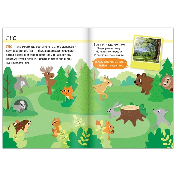 Набор 3 в 1 &laquo;Жители леса&raquo;: 12 пазлов, книга с наклейками, раскраска