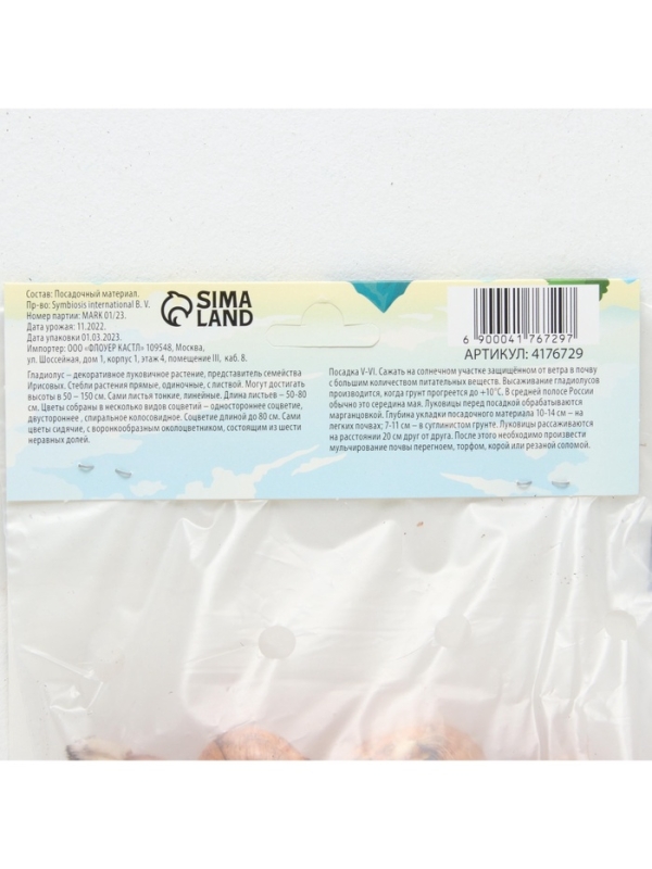 Гладиолус Низкорослый &laquo;Галактика&raquo;, луковица цветов в пакете с перфорацией, р-р 10+, 7 шт.