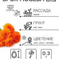 Семена цветов Бархатцы отклонённые "Мандарин", махровые, 0,3 г