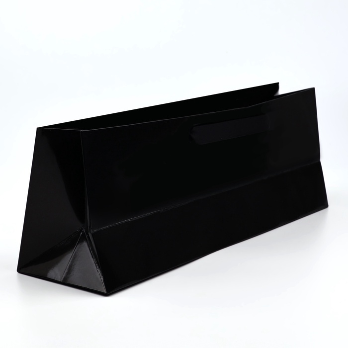 Пакет под бутылку горизонтальный &laquo;Универсальный&raquo;, 36 &times; 10 &times; 13 см