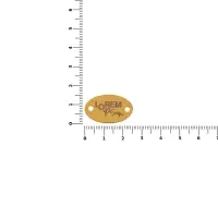 Шильдик металлический Alfa Oval, золотистый глянцевый