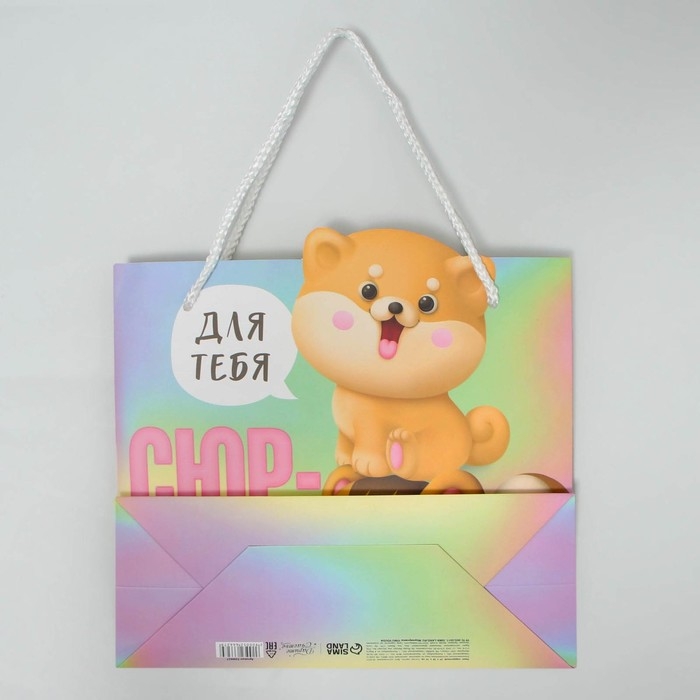 Пакет подарочный, упаковка, &laquo;Сюрприз&raquo;, 25 х 26 х 10 см