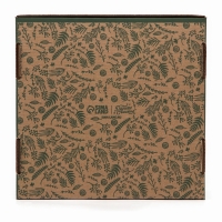 Коробка складная &laquo;Ботаника&raquo;, 24 х 24 х 12 см