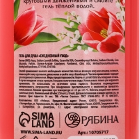 Гель для душа ЧИСТОЕ СЧАСТЬЕ &laquo;Сияй ярче всех&raquo;, 250 мл, аромат ягодный сорбет
