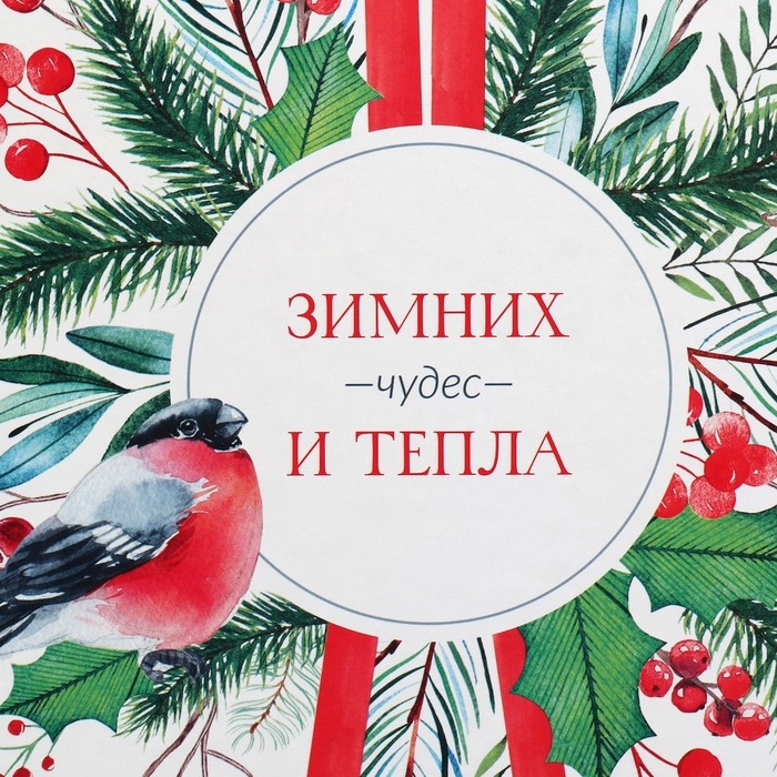 Коробка подарочная &laquo;Зимних чудес&raquo;, 26.2 х 26.2 х 14 см, Новый год