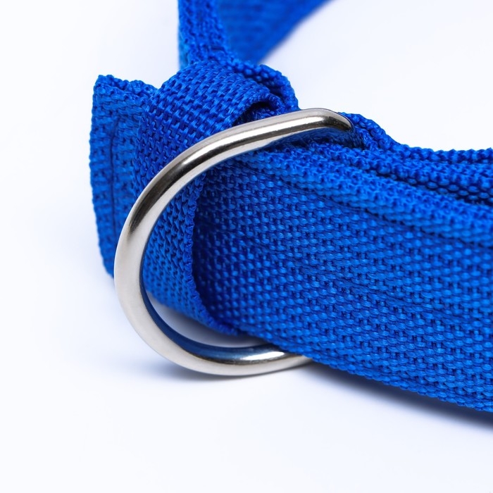 Ошейник четырехслойный, 64 х 4 см, ОШ 50-58 см, полиэстер, синий