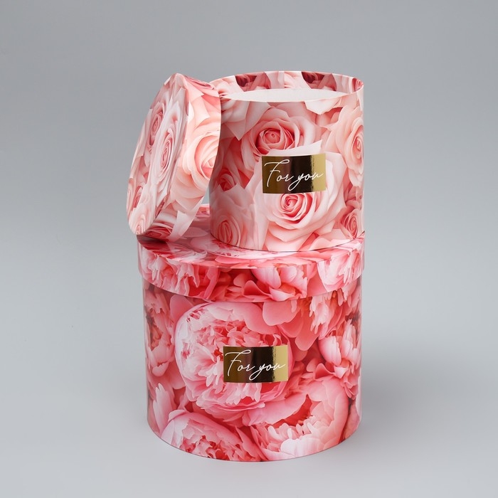 Набор шляпных коробок для цветов 4 в 1, упаковка подарочная, «Нежные цветы», 14 х 13 см - 20 х 17,5 см Набор шляпных коробок для цветов 4 в 1, упаковка подарочная, «Нежные цветы», 14 х 13 см - 20 х 17,5 см