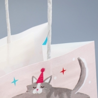 Пакет подарочный крафтовый, упаковка, &laquo;Вечеринка&raquo;, 22 х 25 х 12 см