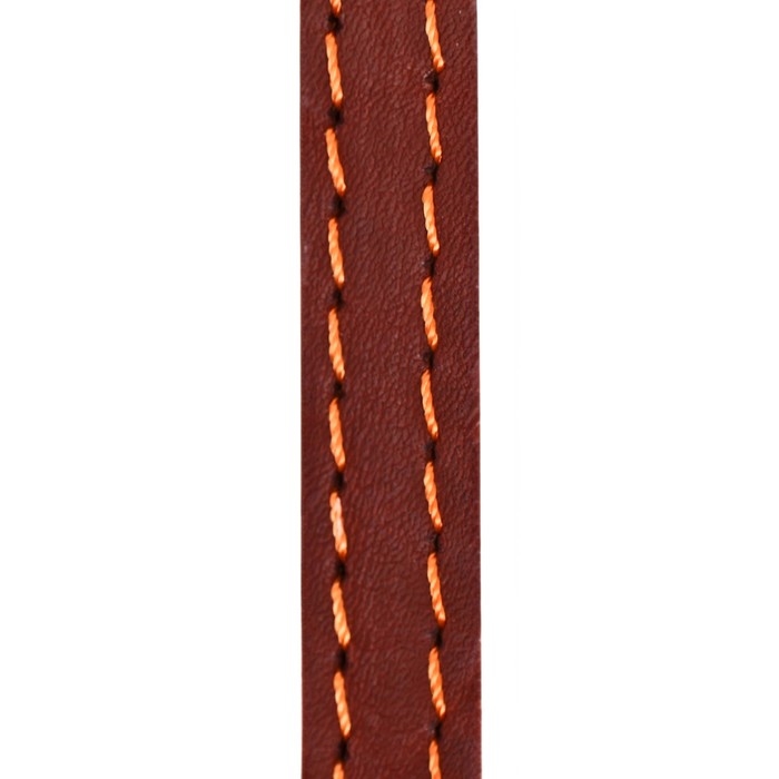 Поводок кожаный однослойный, простроченный, 1.47 м х 1.2 см, коричневый Поводок кожаный однослойный, простроченный, 1.47 м х 1.2 см, коричневый