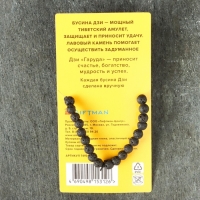 Браслет из лавы с бусиной Дзи &laquo;Гаруда&raquo; №3