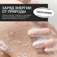 Гель для душа с белой глиной и экстрактом василька, 300 мл, ECO LAB by URAL LAB