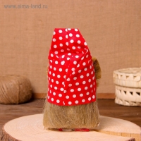 Оберег &laquo;Домовой с долларами&raquo;, 20 см, микс