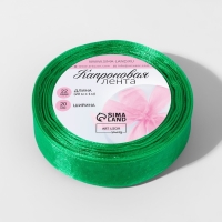 Лента капроновая, 20 мм, 20 &plusmn; 1 м, цвет зелёный №19