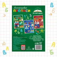 Многоразовые прописи &laquo;Пишем буквы&raquo;, 12 стр., маркер