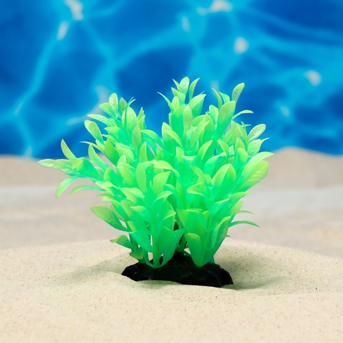 Растение искусственное аквариумное, светящееся, 10 см, зелёное Растение искусственное аквариумное, светящееся, 10 см, зелёное