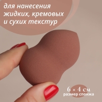 Спонж для макияжа «Амфора», 6 × 4 см, увеличивается при намокании, цвет МИКС Спонж для макияжа «Амфора», 6 × 4 см, увеличивается при намокании, цвет МИКС
